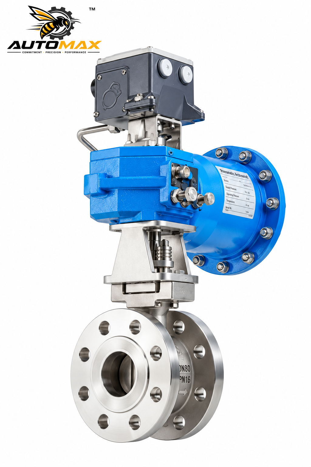 Eccentric rotary plug valves